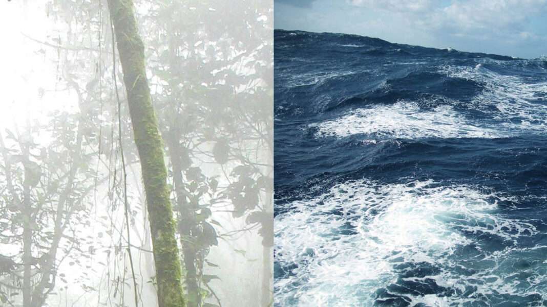 സംസ്ഥാനത്ത് ശക്തമായ മഴ തുടരുന്നു ; കേരളതീരത്ത് നിന്ന് കടലിൽ പോകരുതെന്ന് നിർദേശം സംസ്ഥാനത്ത് ശക്തമായ മഴ തുടരുന്നു ; കേരളതീരത്ത് നിന്ന് കടലിൽ പോകരുതെന്ന് നിർദേശം